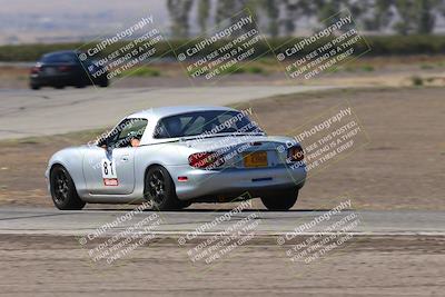 media/Oct-04-2025-OnGrid (Sat) [[44bd565ffa]]/Pink Group/Grapevine/